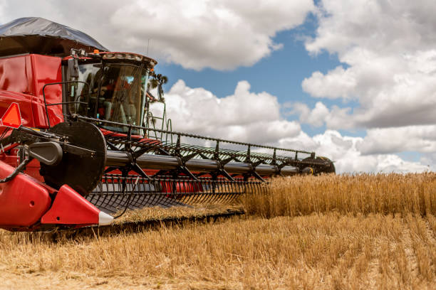 Lavorazione del terreno con la fresa